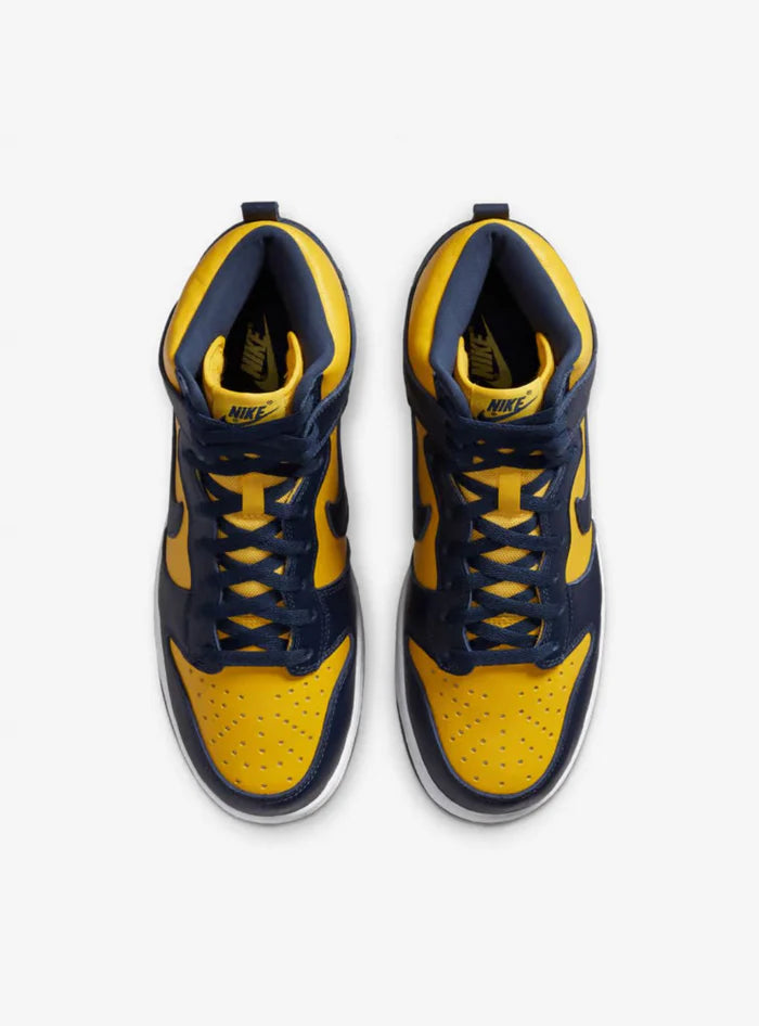 Nike Dunk High Michigan (2020)